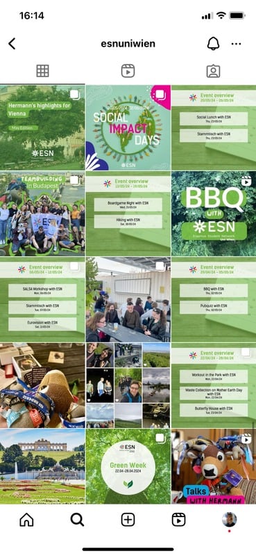 Campaign work preview